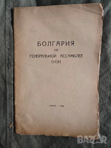 генеральной ассамлее ООН 1948