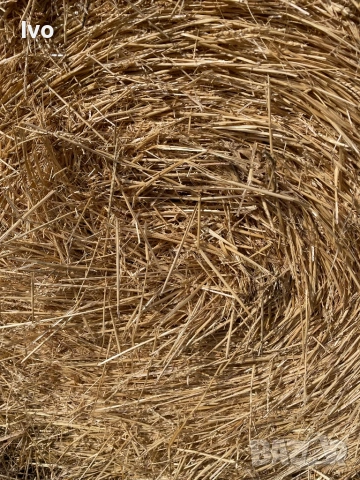 Слама малки и ролонни бали, снимка 2 - За селскостопански - 53711648