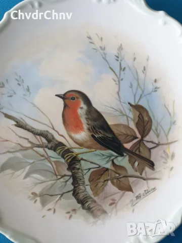 4бр Royal Albert английска колекционерска декоративна порцеланова чиния-картина/птици, снимка 5 - Картини - 49179306