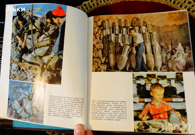 Живото море,капитан Жак-Ив Кусто. , снимка 4 - Художествена литература - 53124749