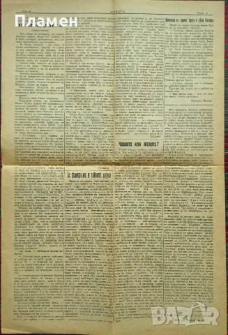 Животъ. Седмичникъ отъ живота за живота. Год. 1: Бр. 1, 4, 7, 9, 10 / 1929, снимка 5 - Антикварни и старинни предмети - 52753413
