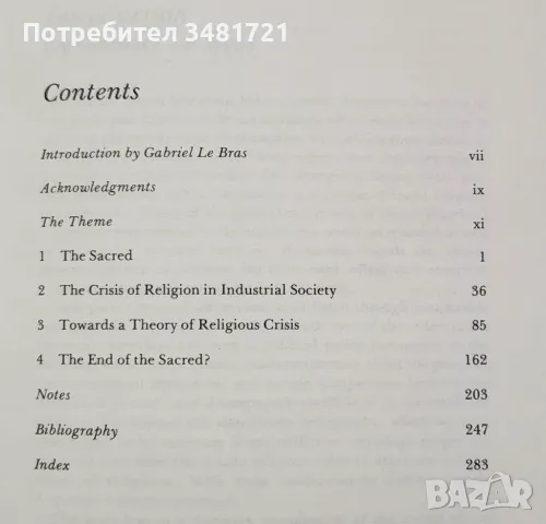 Залезът на свещеното в индустриалното общество / Decline of The Sacred in Industrial Society, снимка 4 - Специализирана литература - 48786330