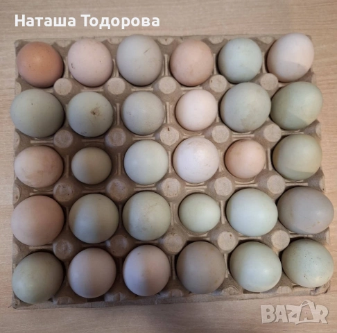 яйца от домашни кокошки 