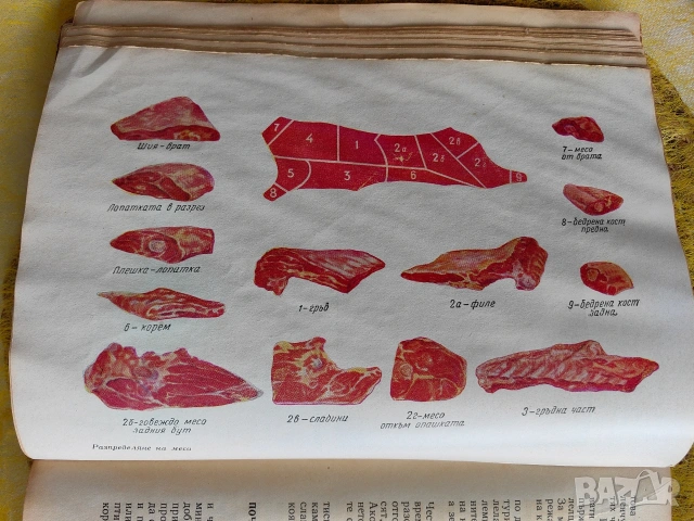 Наша кухня, книга от 1966 година, снимка 10 - Специализирана литература - 53200068
