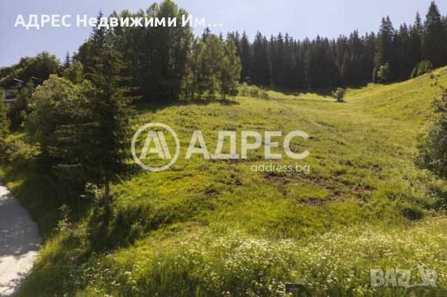 Продава парцел с. Проглед (Смолян-Чепеларе), снимка 5 - Парцели - 50856980