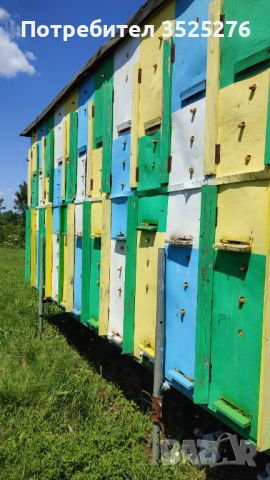 Павилион за пчелни семейства , снимка 3 - За пчели - 45775910