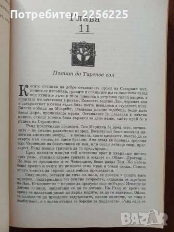 Окото на света, снимка 3 - Художествена литература - 50969777