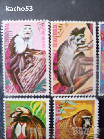 1975 г. Маймуни. Екваториална Гвинея., снимка 2 - Филателия - 45509435