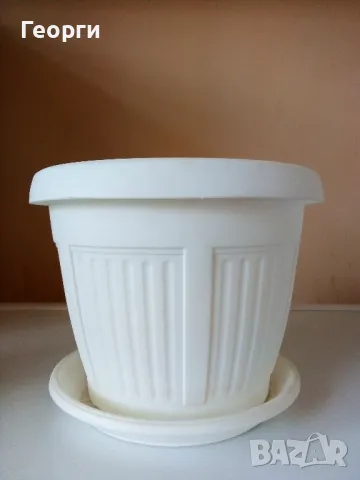 Саксия ребро с подложка , снимка 1