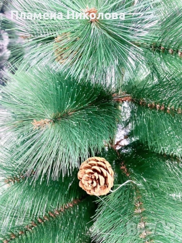 Елха естествено зелена с шишарки, снимка 3 - Декорация за дома - 52301887