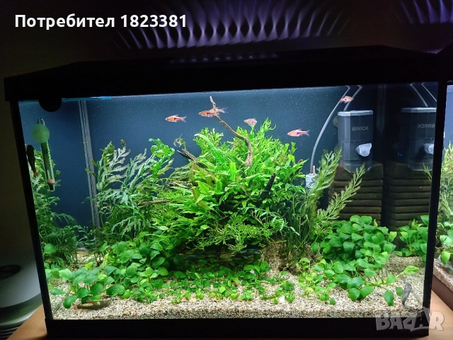Напълно оборудван и работещ аквариум , снимка 6 - Аквариуми - 49185034