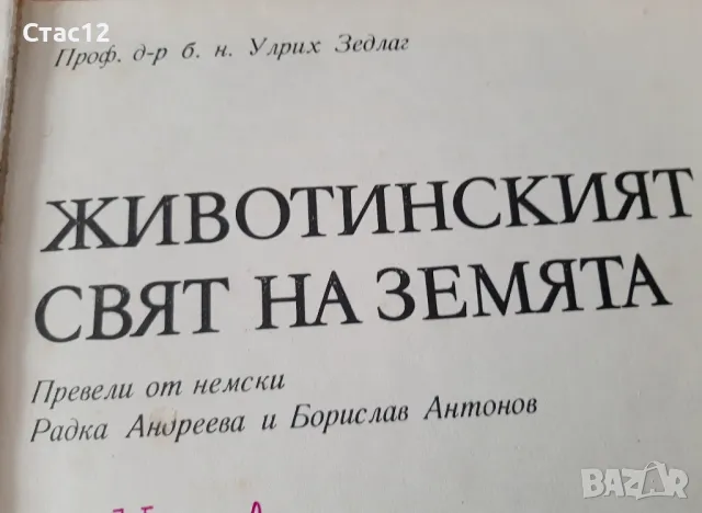 Две детски енциклопедии от миналото, снимка 6 - Енциклопедии, справочници - 48006912