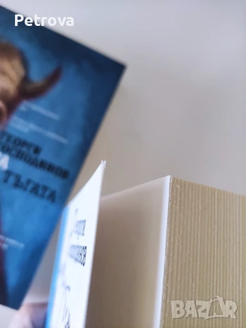 Две книги на Георги Господинов , снимка 3 - Художествена литература - 50756808