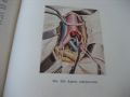 Оперативна хирургия - том 3 - 1962 г., снимка 6
