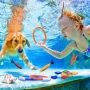 Детски водни играчки за гмуркане Wybtbm T02 Pool Toy играчки за басейн за гмуркане дънни играчки , снимка 1