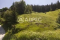 Продава парцел с. Проглед (Смолян-Чепеларе), снимка 5