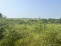 Парцел- с.Бистра/ №8944, снимка 2