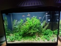Напълно оборудван и работещ аквариум , снимка 6
