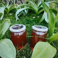 Натурален пчелен мед , снимка 2 - Пчелни продукти - 45096345