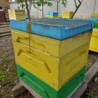 полистиролни кошери с пчели , снимка 4 - За пчели - 45483678