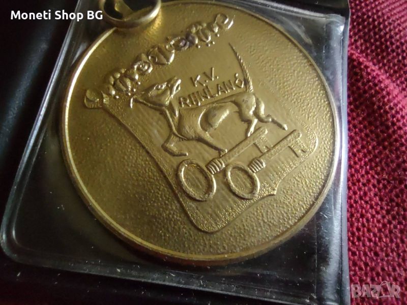 Масивен Бронзов медал със сертификат , снимка 1