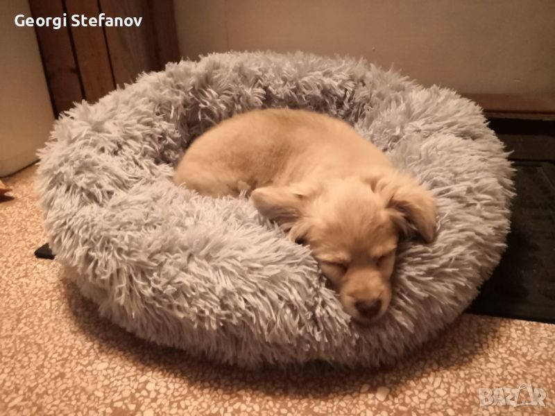 Ново пухкаво кръгло легло за куче / котка, снимка 1