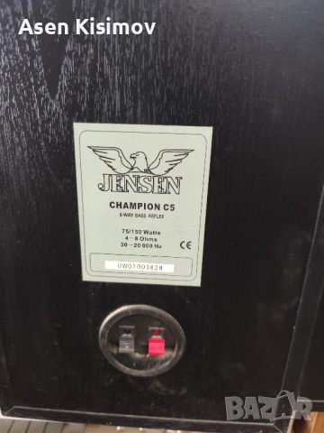 Jensen c5 , снимка 7 - Тонколони - 51634919