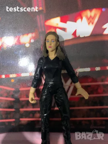 Екшън фигура WWF 1999 Stephanie McMahon Стефани МакМеън TTL WWE Jakks Titan Tron играчка WWF , снимка 3 - Колекции - 48361576