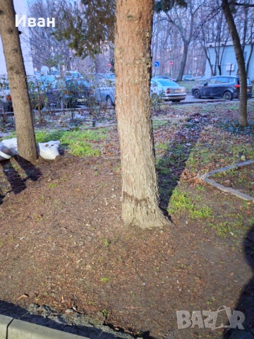 Дава помещение под наем за склад , снимка 5 - Стаи под наем - 53499050