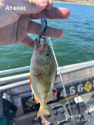 Силиконови примамки Blood Minnow, снимка 7 - Такъми - 40511915