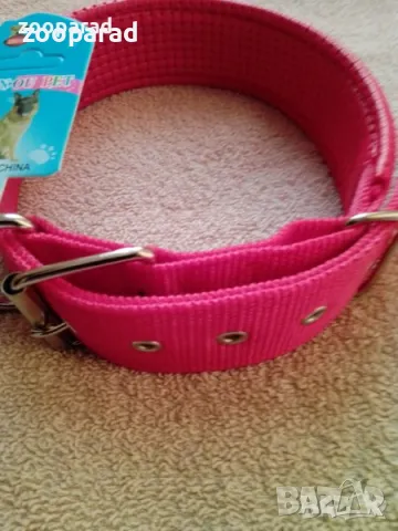 Нашийник капрон: , снимка 4 - За кучета - 49861668