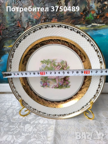 Декоративна порцеланова чиния Thomas, снимка 4 - Антикварни и старинни предмети - 53978820