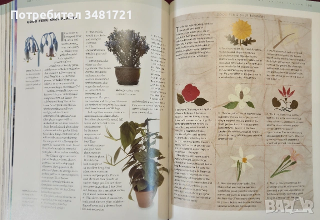 Фън Шуй - голяма илюстрирана енциклопедия /  The Illustrated Encyclopedia of Feng Shui, снимка 12 - Енциклопедии, справочници - 53883047