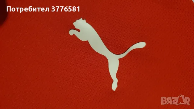 Футболна тениска puma Olympiacos Piraeus Rivaldo , снимка 5 - Футбол - 49733924