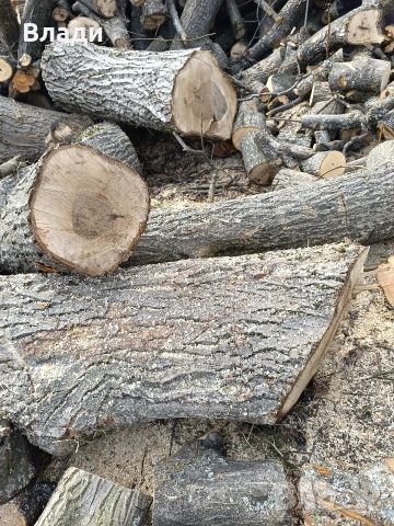 Орех-орехови трупи