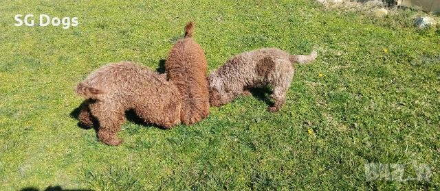 продавам лагото, снимка 16 - Други - 53779021