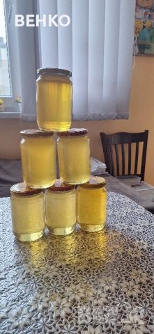 пчелен мед от акация , снимка 4 - Пчелни продукти - 45653212