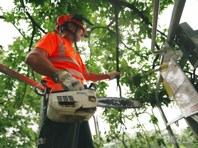 Обработка на терени с горски мулчер и подготовка за строителство – Варна, снимка 11 - Други услуги - 53669980
