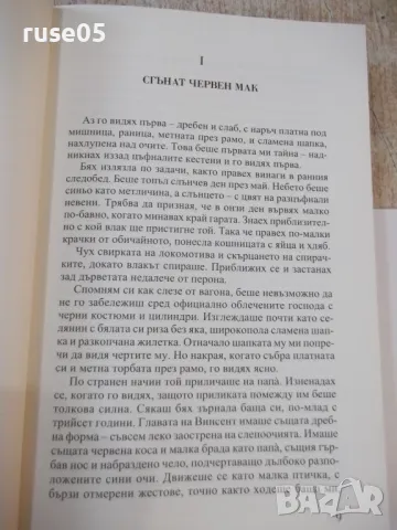 Книга "Последната картина на Ван Гог-Алисън Ричман"-280 стр., снимка 4 - Художествена литература - 49406177