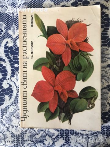 Книги за цветарство - отглеждане на цветя и подреждане на букети, икебана, снимка 5 - Специализирана литература - 46226105