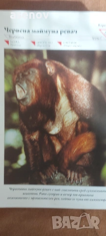 Енциклопедия за животинския свят 