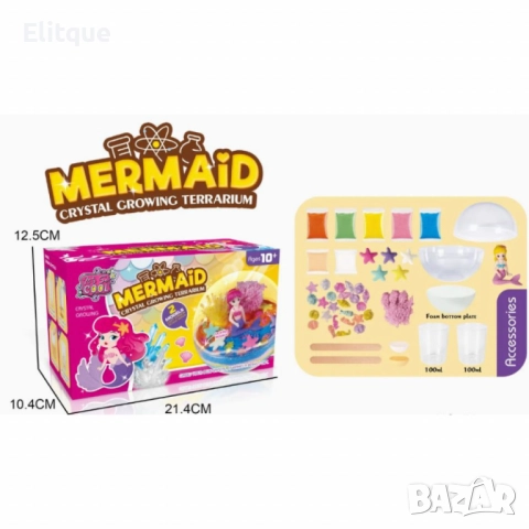 Пълен комплект за терариум - Направи си сам, снимка 3 - Образователни игри - 52745125