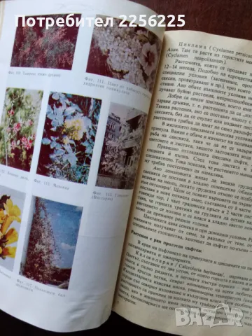 "Книга за всеки дом", снимка 7 - Специализирана литература - 50161738