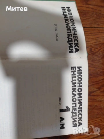 Икономическа енциклопедия, снимка 2 - Енциклопедии, справочници - 53401443