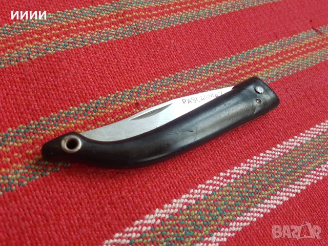 Ножка сойка