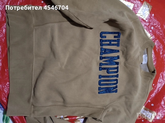 Champion мъжка блуза