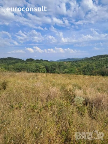 Парцел гр Севлиево 3605 кв.м ,местност "Севлиевски лозя",високата част , снимка 6 - Парцели - 52206441