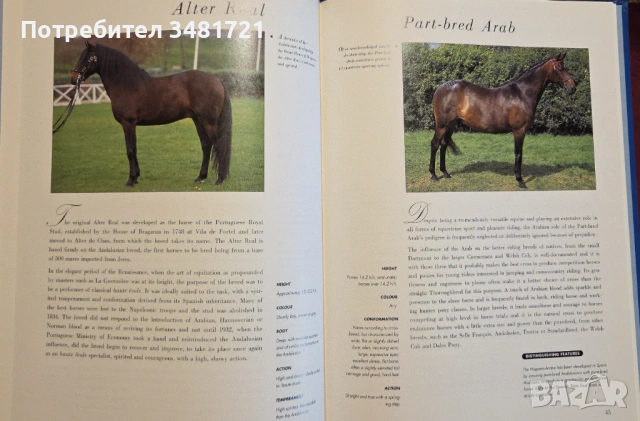 Hamlyn All Colour Guide to Horses, снимка 5 - Енциклопедии, справочници - 53251507