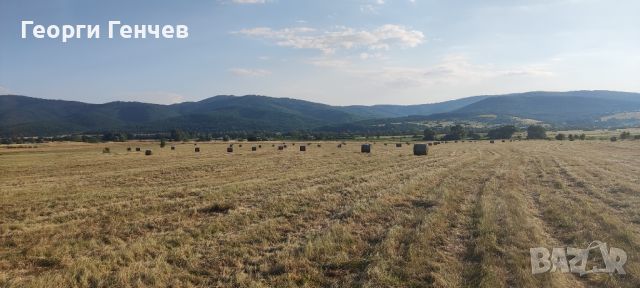 Продавам Рулонни Бали Сено, село Ковачевци (Самоковско), снимка 5 - За селскостопански - 46504556