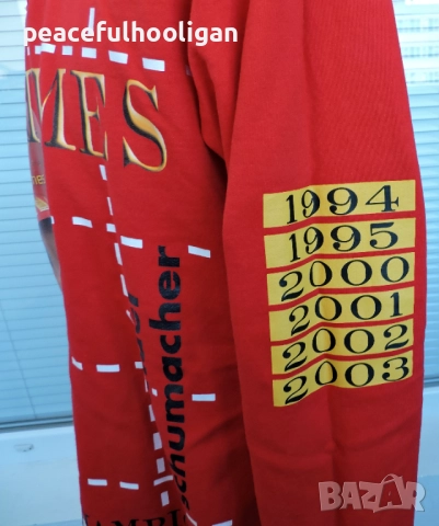 Michael Schumacher F1 Formula 1 World Champion Six Times 2003 Hoodie Size XL, снимка 13 - Суичъри - 52430318